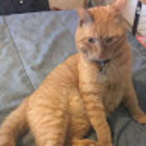 Meet your Posher, Joseph